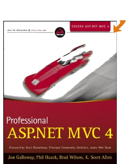 Professional ASP.NET MVC 4