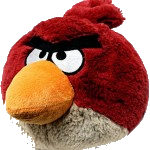 angry identity bird