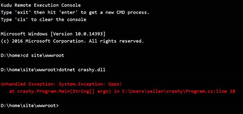 Diagnosing Startup Errors in ASP.NET Core By Running a Published Project